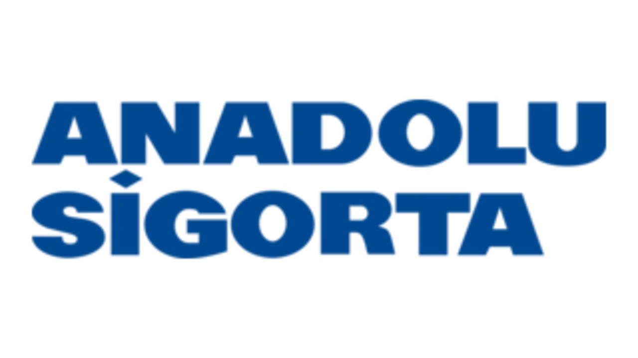 Anadolu Sigorta Kapak